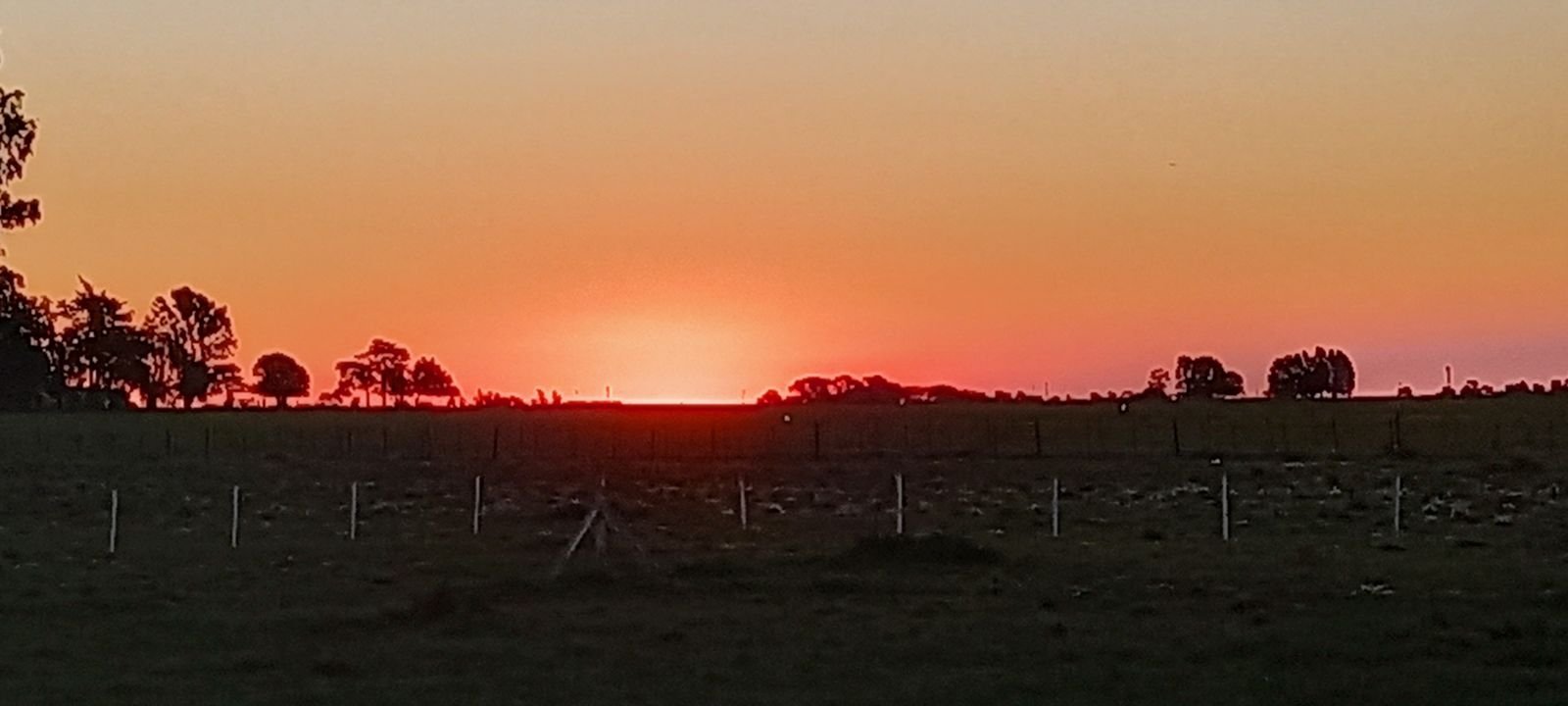 Puesta de sol sobre el alambrado, con el campo en silueta.