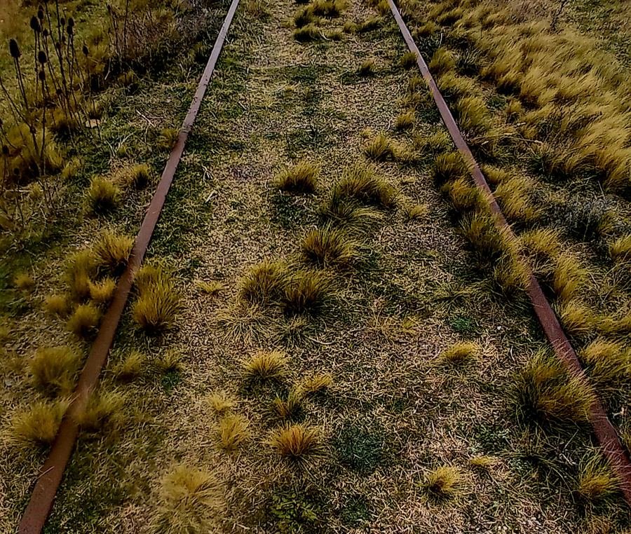 Pastizal y vías de tren en la llanura de la cuenca del Salado.